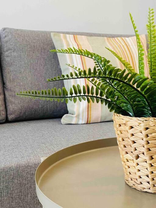 Appartamento & Cozy Flat Close The *